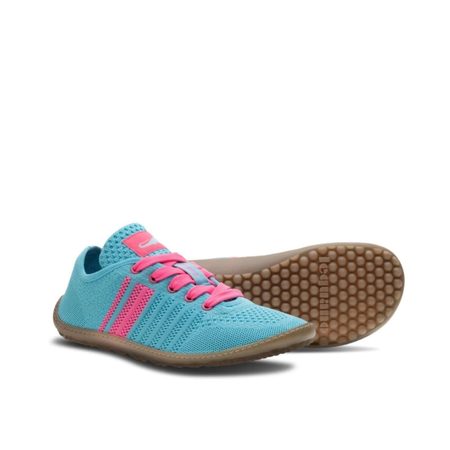 LEGUANO CARIBEO Blue