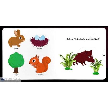 DĚTSKÁ KNIHA MINIPEDIE Objevujeme svět! LES