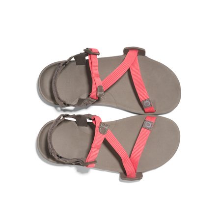 XERO SHOES Z-TRAIL EV W Sunset Coral / Morel | Dámské barefoot sandály