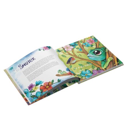 KDYŽ SE NAŠTVE CHAMELEON – Zdeňka Šíp Staňková