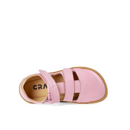 CRAVE SHELLWOOD Rose 6
