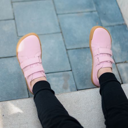 CRAVE SPRINGFIELD Rose 8