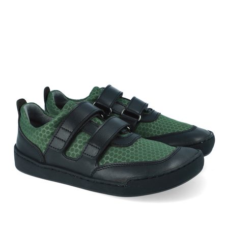 CRAVE CATBOURNE Green 4