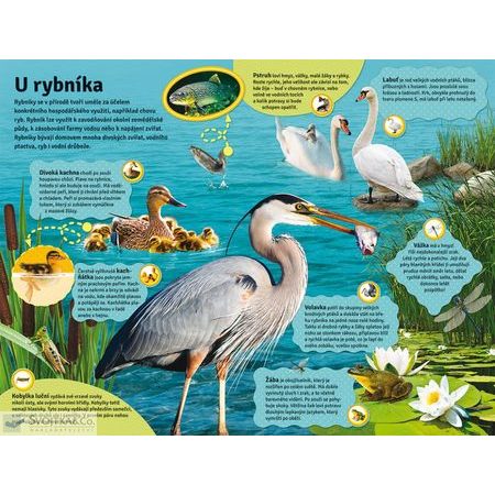 DĚTSKÁ KNIHA VELKÁ KNIHA ZVUKŮ Na farmě