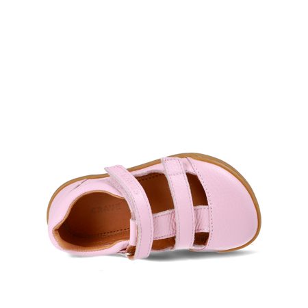 CRAVE SHELLWOOD 2.0 Rose 6