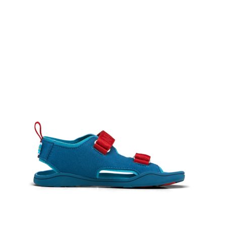 AFFENZAHN SANDAL VEGAN AIRY SHARK Blue II 3