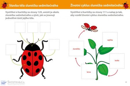 DĚTSKÁ KNIHA MONTESSORI OBJEVUJE SVĚT