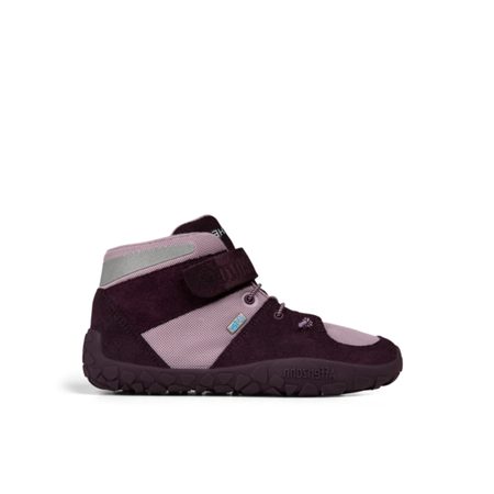 AFFENZAHN DREAMER HOPES LEATHER MIDBOOT GRAPE Pink 1