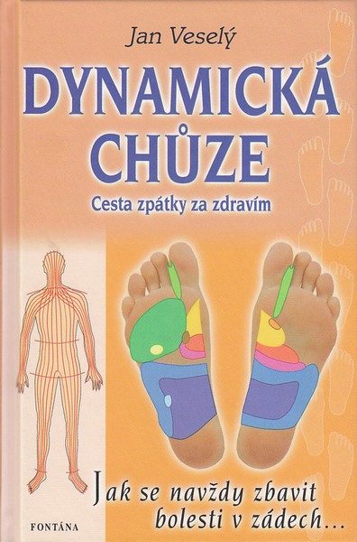 BOOK Dynamic walking