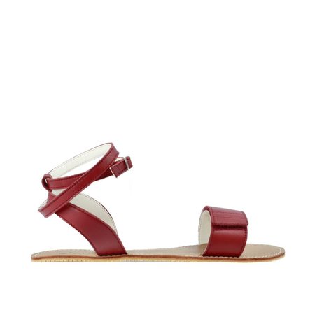 ANGLES ERYX Burgundy 1