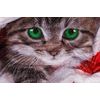 3D povlečení 140x200, 70x90 cm - Vánoční kočka