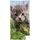 Froté osuška 70x140 cm - Koťátko Tygřík