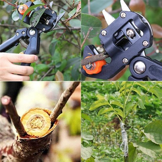 Zahradnické nůžky na roubování stromů, keřů a rostlin