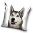 Povlak na polštářek 40x40 cm - Sibiřský Husky Selfie
