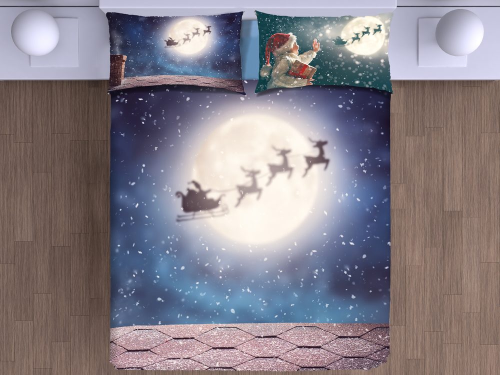 Levně Gipetex Natural Dream 3D italské povlečení 100% bavlna Christmas night - 140x200 / 70x90 cm