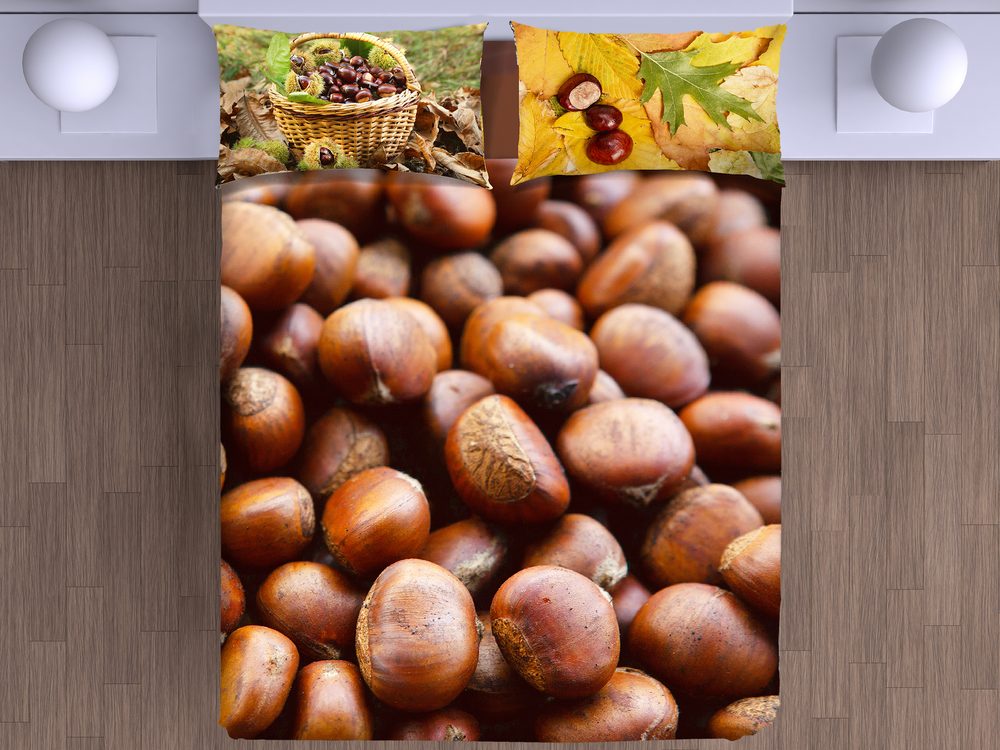 Levně Gipetex Natural Dream 3D italské povlečení 100% bavlna Castagne - 140x200 / 70x90 cm