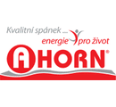 Ahorn