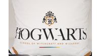 Povlečení Harry Potter Hogwarts se zlatým potiskem 140x200/70x90cm