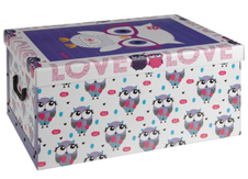 Úložná krabice sova s brýlemi 51x37x24cm