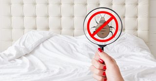 Hygiena Vaší ložnice nejen v období virových epidemií