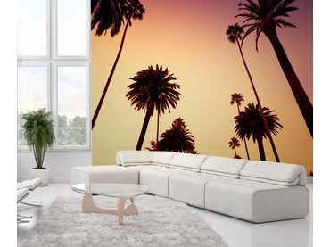 1Wall fototapeta Palmy při soumraku 315x232 cm