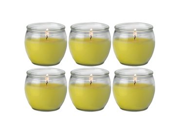 Citronella vonná svíčka ve skle Maiorca 6ks - hoření 25h
