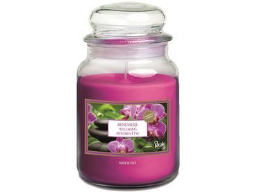 PETALI vonná svíčka ve skle Wellbeing - hoření 100h