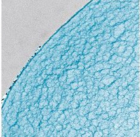 Vrchní latexová matrace (přistýlka) DREAMPUR® Tencel Latex 7cm rozbaleno / 2. jakost