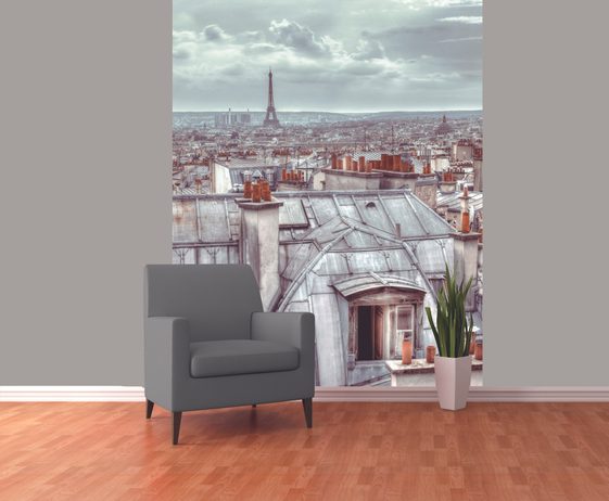 1Wall fototapeta Střechy Paříže 158x232 cm