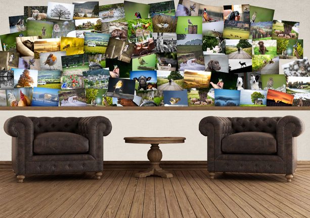 1Wall Kreativní koláž na zeď 64 dílů 37,5 x 27,5cm Farma