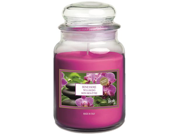 PETALI vonná svíčka ve skle Wellbeing - hoření 100h