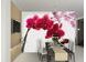 1Wall fototapeta Orchidej 315x232 cm