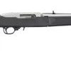 Ruger 10/22 TD