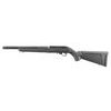 Ruger 10/22 TD Lite