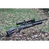 Daystate Wolverine R HiLite laminate 4.5 mm air rifle