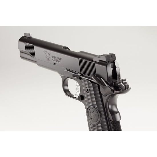 NIGHTHAWK CUSTOM GRP