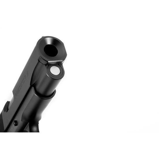 NIGHTHAWK CUSTOM Predator II