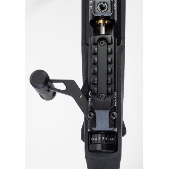 Vzduchovka Daystate Black Wolf Zero