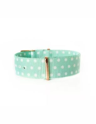 Pasek nylonowy Silver Rose