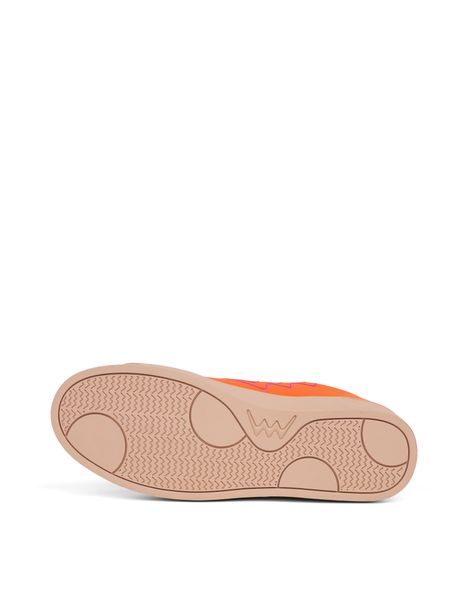 Dotty Classic Nectarine