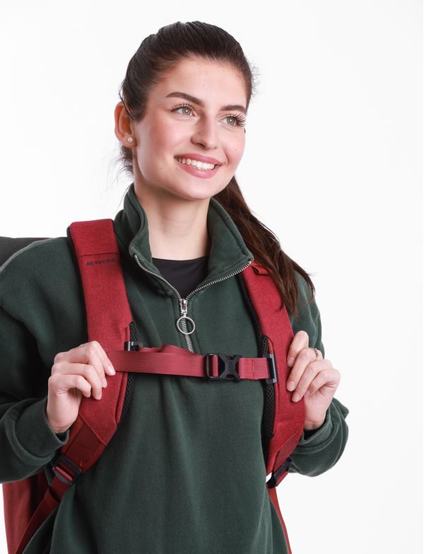 Tayte Small Wine Red