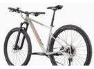 Pánské horské kolo Cannondale Trail SL 1 29" - Šedá / Stříbrná