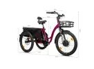 Leader fox CARGO - TRICYCLE CURTIS, FRONT MOTOR, GREY MATT