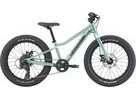 Dětské kolo CANNONDALE KIDS TRAIL PLUS 20"