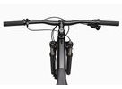 Pánské horské kolo CANNONDALE TRAIL 29" SL 4, black - gray