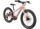 Dětské kolo CANNONDALE KIDS TRAIL PLUS 20"