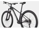 Pánské horské kolo CANNONDALE TRAIL 2