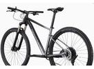 Pánské horské kolo CANNONDALE TRAIL 29" SL 4, black - gray