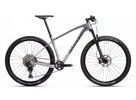 Pánské horské kolo MAXBIKE Akka 29" Stříbrno/černý 2025