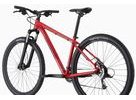 Pánské horské kolo CANNONDALE TRAIL 29" 7 /XS-S 27,5' M-XL 29'/, červená